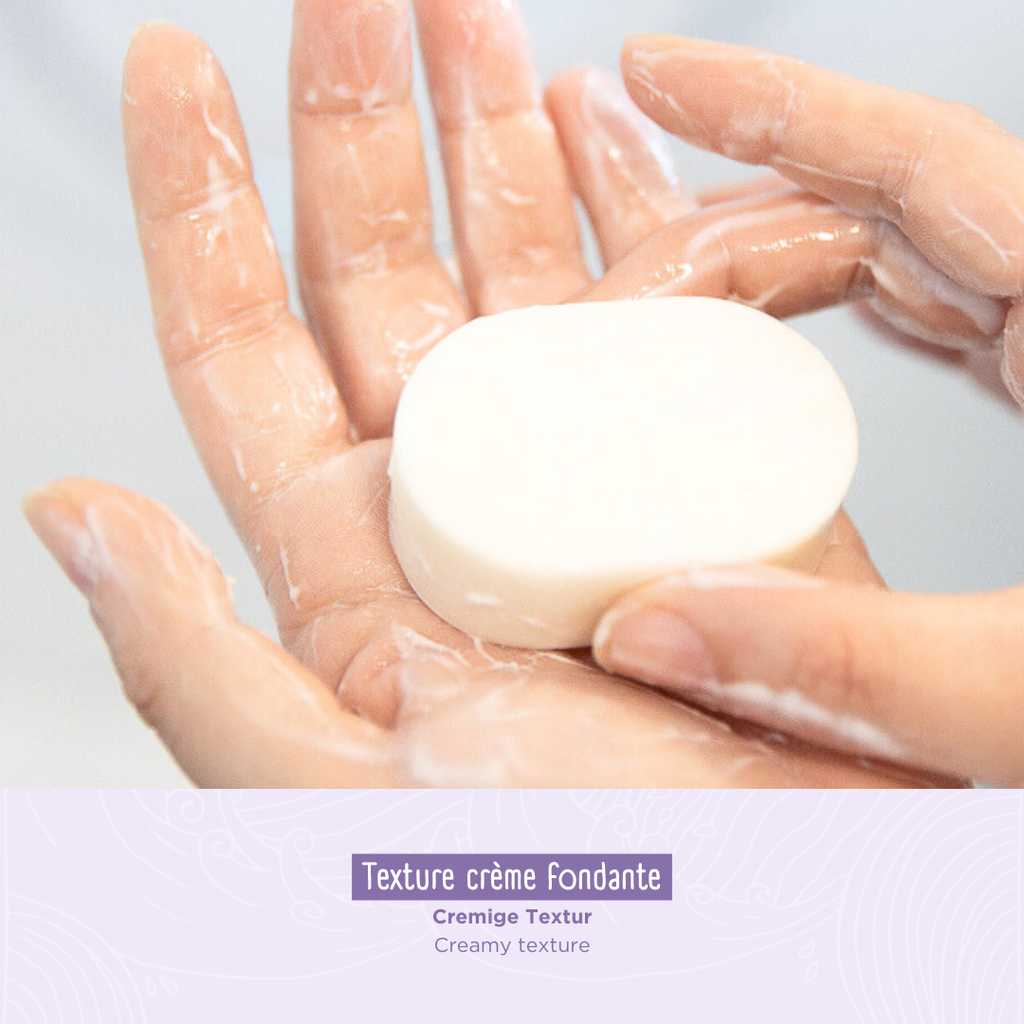 Botanical Smooth & Shine - Après-shampoing solide 50g